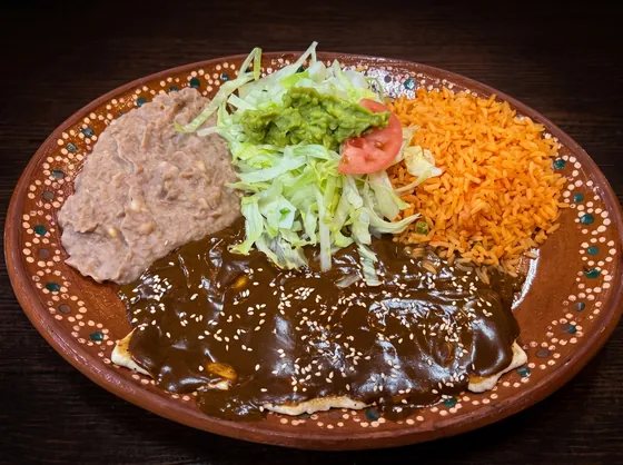 A plate under dark mole scattered with sesame seeds, with refried beans, lettuce, guacamole, tomato and rice.